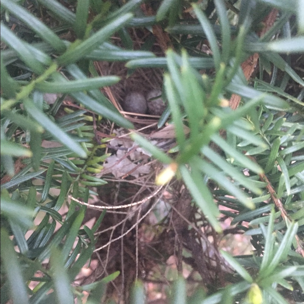 Meet your Posher, Marisa